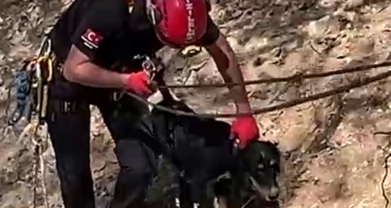 Düzce’de kayalıklarda mahsur kalan köpek kurtarıldı