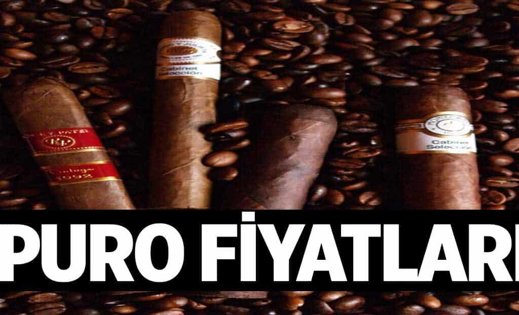 Puro Fiyatlari 1024x622cNI.jpg