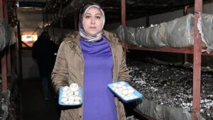 devlet destegiyle kurdugu tesiste 75 ton mantar uretiyor vw3Kqa38.jpg