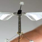 Haberiniz olmadan yanınıza konabilir: Sinek boyutunda drone gerçek oldu